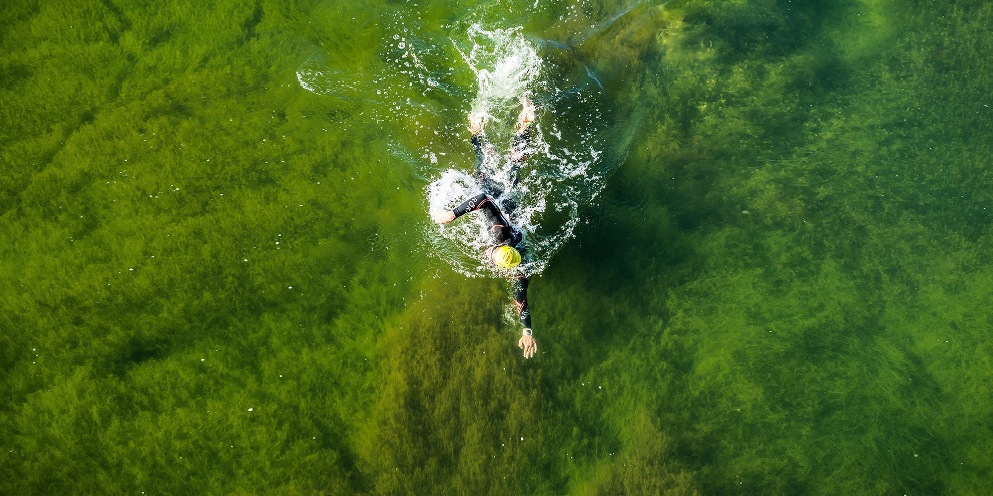 athlete swimming in open water