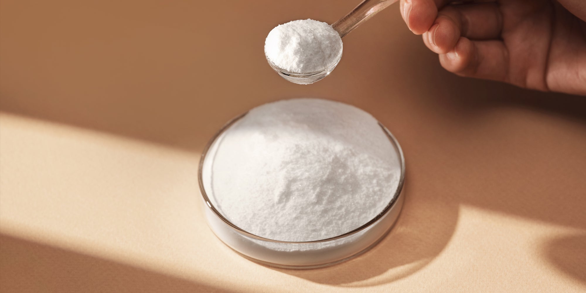 Creatine 101: The Science Behind the Supplement