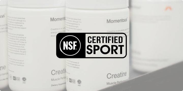 What Is NSF Certification