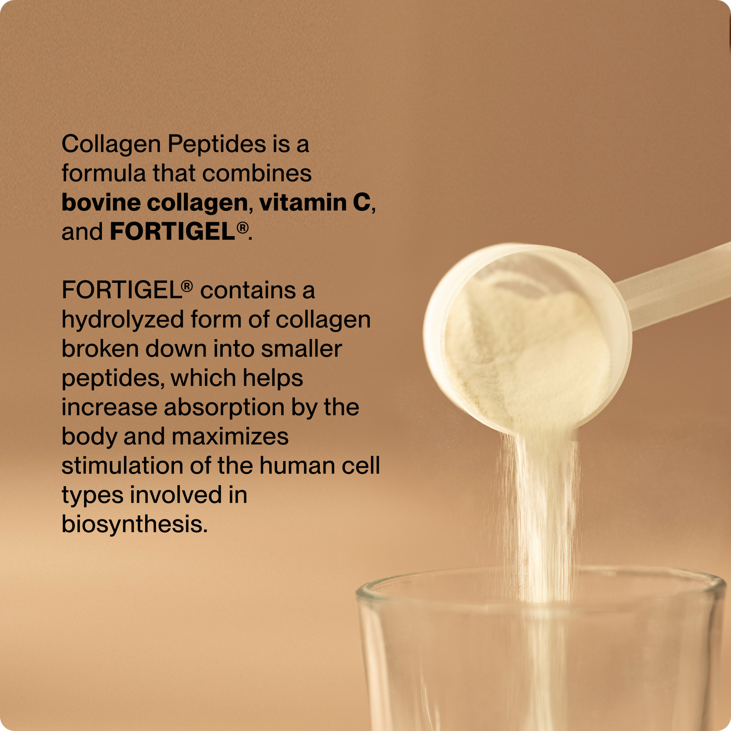 Collagen Peptides is a formula that combines bovine collagen, vitamin C, and Fortigel. Fortigel contains a hydrolyzed form of collagen broken down into smaller peptides, which helps increase absorption by the body and maximizes stimulation of the human cell types involved in biosynthesis.