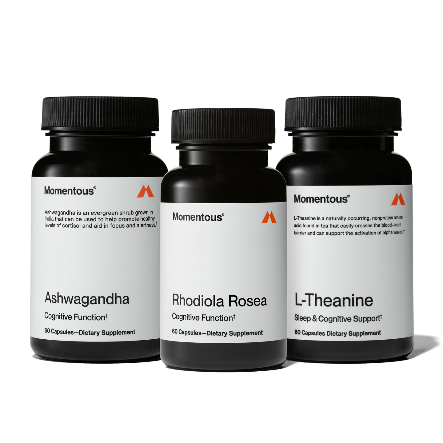 Adaptogen Stack which includes Ashwagandha, Rhodiola Rosea, and L-Theanine