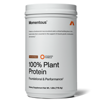 100% Plant Protein Powder