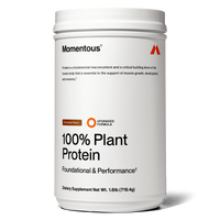 100% Plant Protein Powder