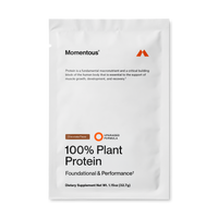 100% Plant Protein Powder 10-Travel Packs